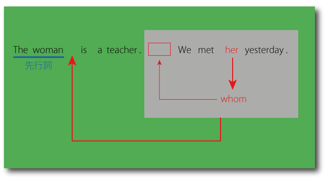 関係代名詞（whom）の用法について