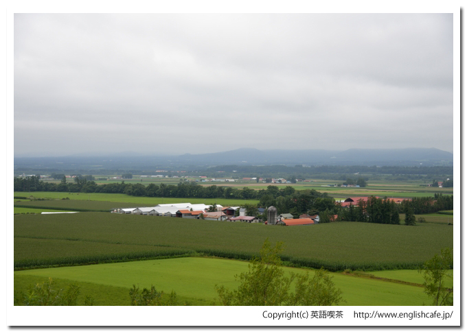 美蔓パノラマパーク、展望台から見る田園風景の一部クローズアップ（北海道上川郡清水町）