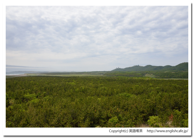 百人浜、百人浜の緑化事業展望塔からの風景（北海道幌泉郡えりも町）
