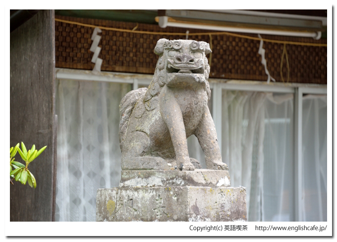 大正神社（北海道帯広市）、大正神社の狛犬