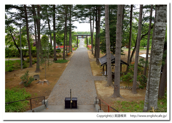 大正神社（北海道帯広市）、大正神社の社殿から見る参道
