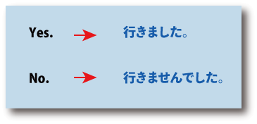 英語の否定の疑問文について