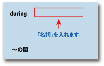 英語during（～の間）について