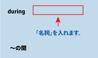 英語during（～の間）について