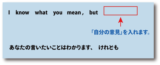 英語I know what you mean, but（言いたいことはわかります、けれども）について