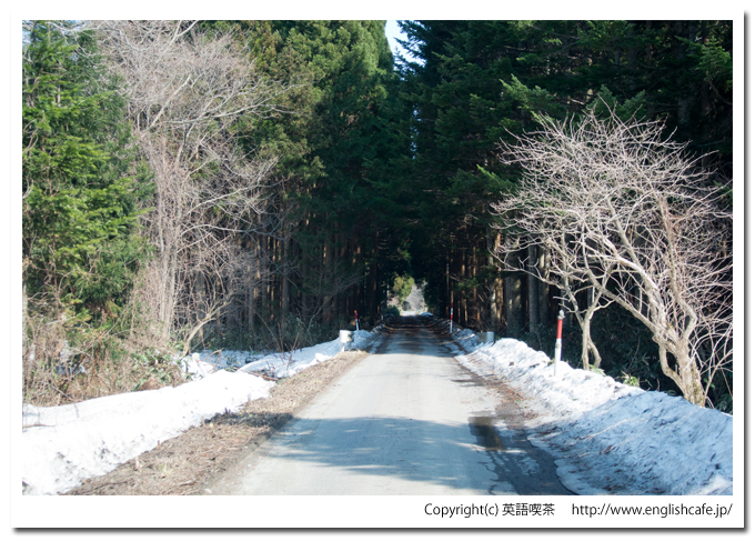 相沼内ダムと林（北海道八雲町）