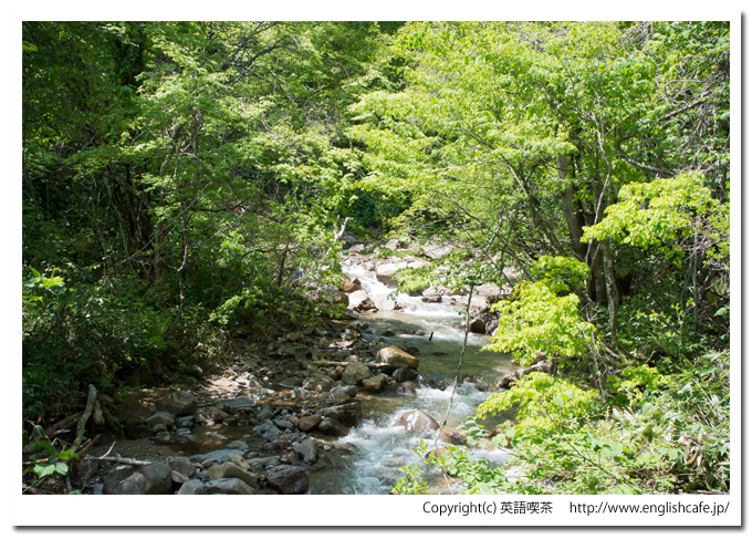 赤沼への林道の沢（北海道函館市）