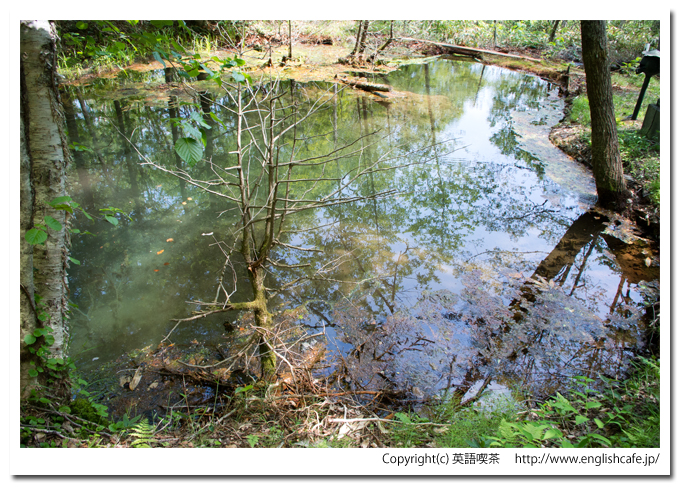 赤沼に到着（北海道函館市）