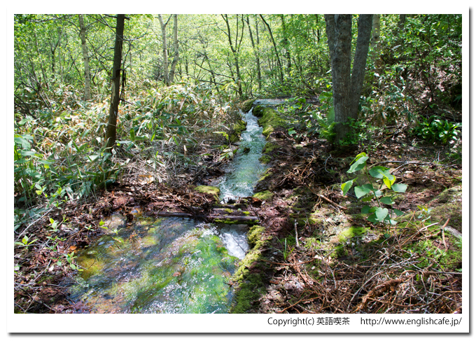 赤沼の水が流れ出ているところ（北海道函館市）