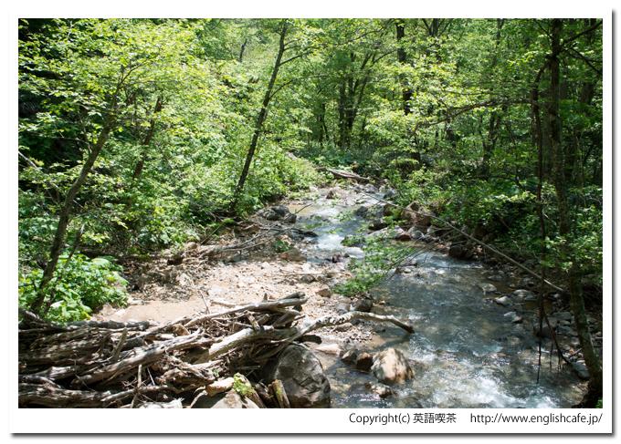 赤沼までの林道沢（北海道函館市）