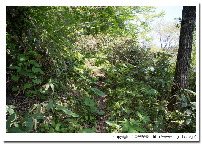 赤沼までの入口、徒歩（北海道函館市）