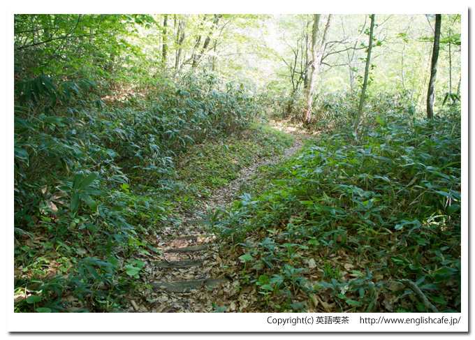 赤沼の鳥居と整備された道（北海道函館市）