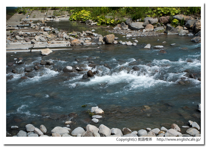 青い池、そばを流れる川、青い川（北海道美瑛町）