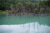 青い池（北海道美瑛町）