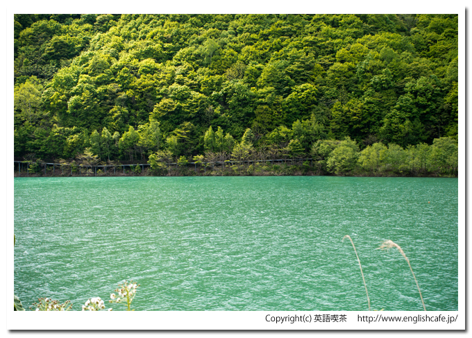 朝里ダムのダム湖から見る山と散策路（北海道小樽市）