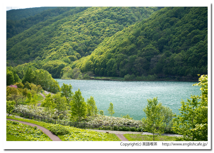 朝里ダムのダム湖公園とダム湖のコントラスト（北海道小樽市）