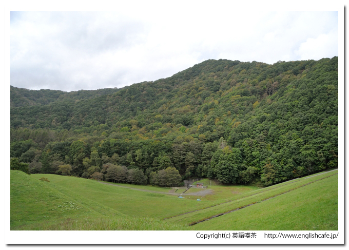 厚真ダム、下流部の森の景色（北海道厚真町）