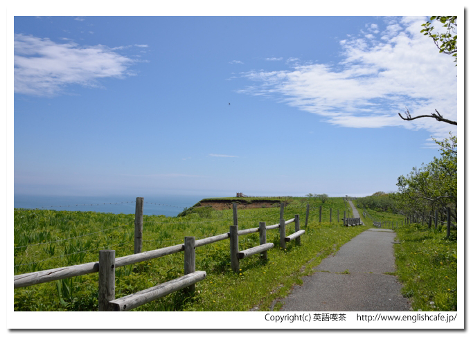 原生花園あやめヶ原、原生花園と散策路（北海道厚岸郡厚岸町）