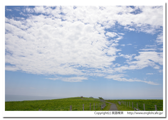原生花園あやめヶ原、原生花園の先端と青空（北海道厚岸郡厚岸町）
