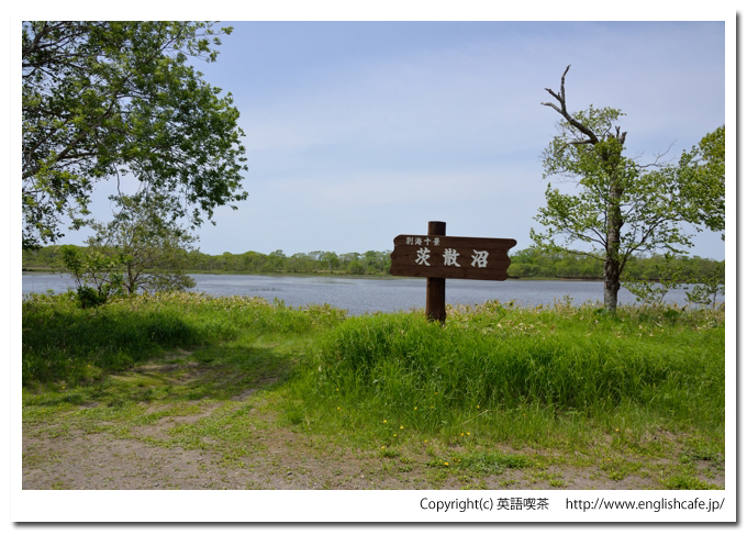 茨散沼、茨散沼と案内板（北海道野付郡別海町）