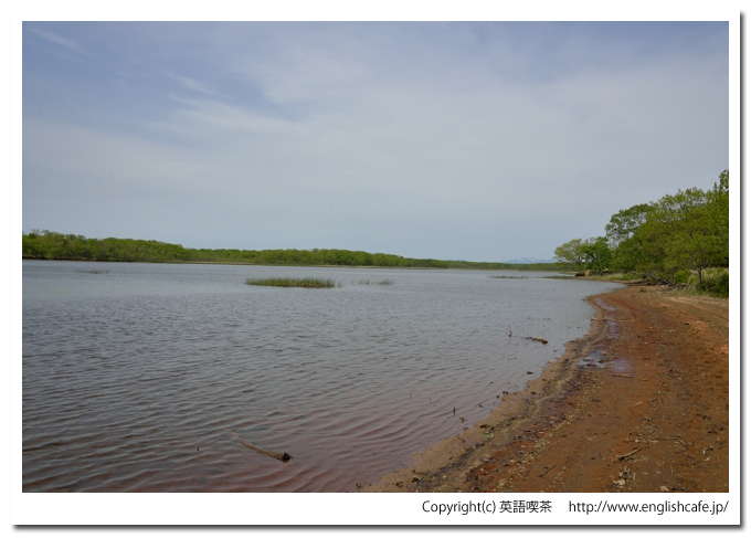 茨散沼、茨散沼の右側（北海道野付郡別海町）