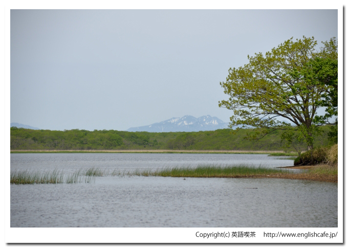 茨散沼、沼の先のほう景色（北海道野付郡別海町）