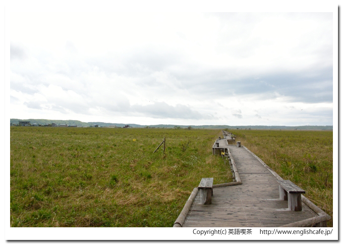 琵琶瀬木道、琵琶瀬木道の入口あたりから（北海道厚岸郡浜中町）