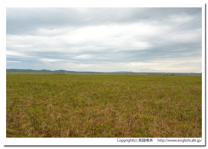 琵琶瀬木道、琵琶瀬木道から見る湿原の様子（北海道厚岸郡浜中町）