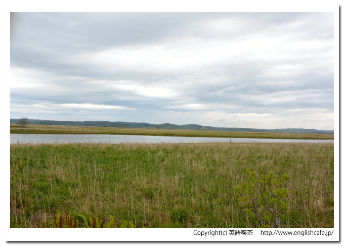 琵琶瀬木道、琵琶瀬木道から見る湿原と川の様子（北海道厚岸郡浜中町）