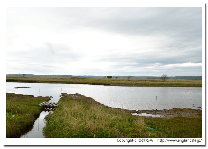 琵琶瀬木道、琵琶瀬木道の終点から見る湿原の風景（北海道厚岸郡浜中町）