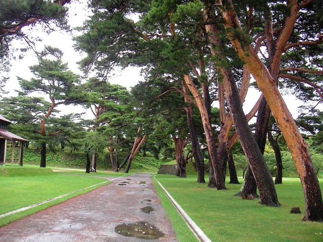 箱館奉行所（北海道函館市の五稜郭公園）