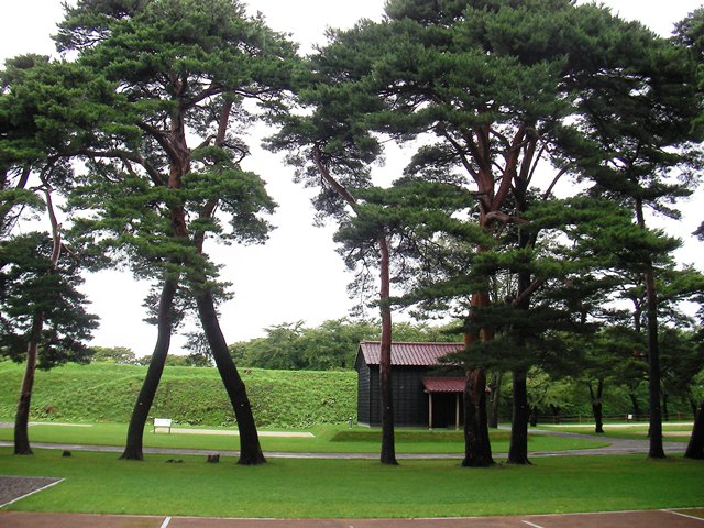 箱館奉行所からの風景（北海道函館市の五稜郭公園）
