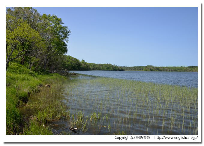 長節湖、長節湖の左側湖面（北海道根室市）