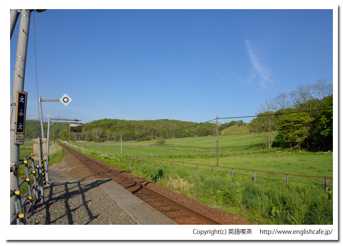 絵笛駅（日高本線）、ホームの前に広がる牧場