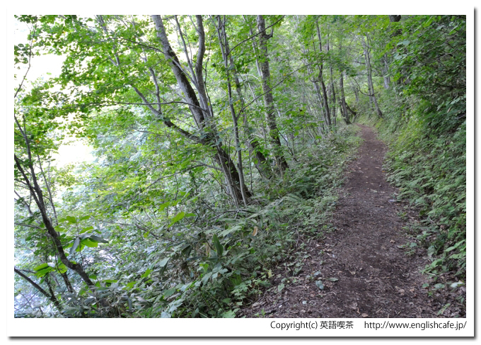 半月湖、散策路を下りていく（北海道倶知安町）