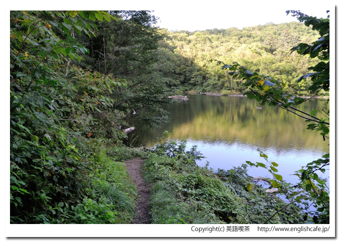 半月湖、散策路から湖畔に到着（北海道倶知安町）