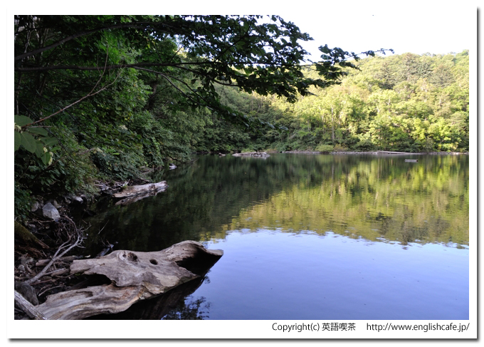 半月湖、湖畔から見る岸の様子（北海道倶知安町）