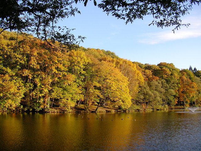 八郎沼の湖畔、戻りながらの紅葉（北海道北斗市）
