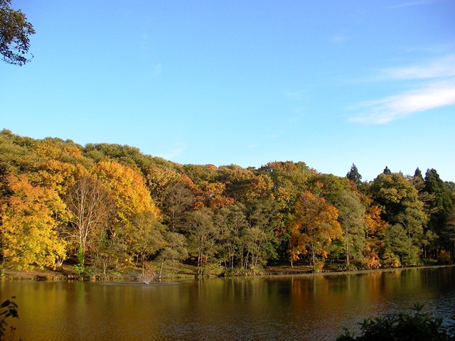 八郎沼の湖畔、戻りながらの紅葉、進みながら（北海道北斗市）