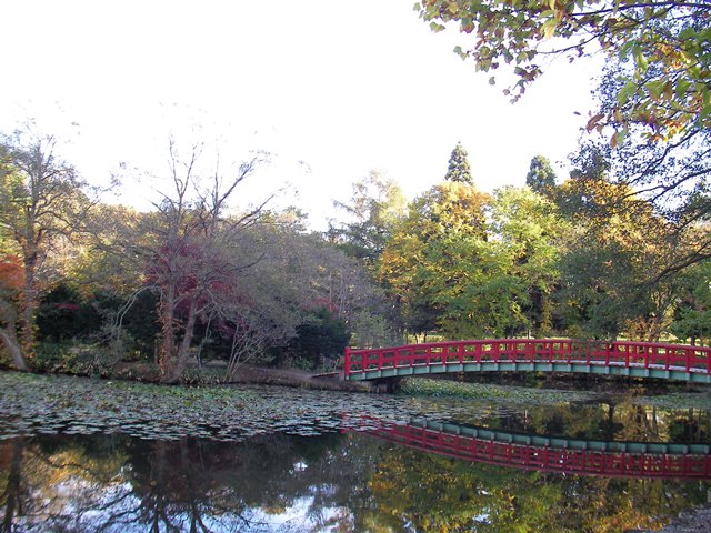 八郎沼の入口付近と橋（北海道北斗市）