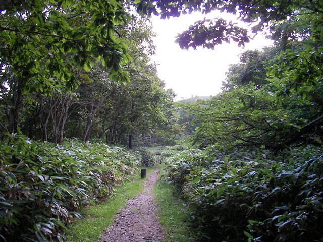 日暮山の展望台までの道（北海道七飯町）
