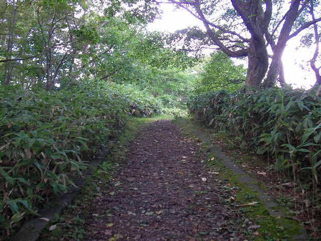 日暮山の展望台までの道（北海道七飯町）