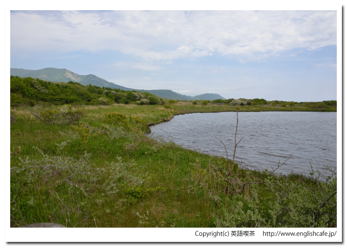 悲恋沼、悲恋沼の木道から見る沼の端の様子（北海道幌泉郡えりも町）