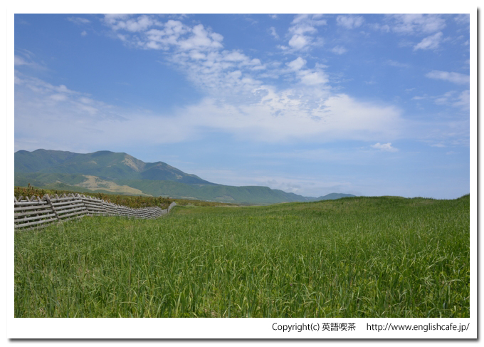 百人浜、百人浜の砂浜と草原（北海道幌泉郡えりも町）
