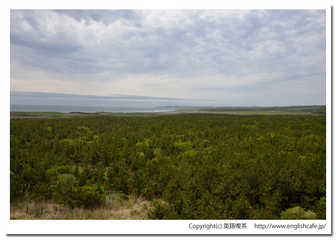 百人浜、百人浜の緑化事業展望塔からの襟裳岬（北海道幌泉郡えりも町）