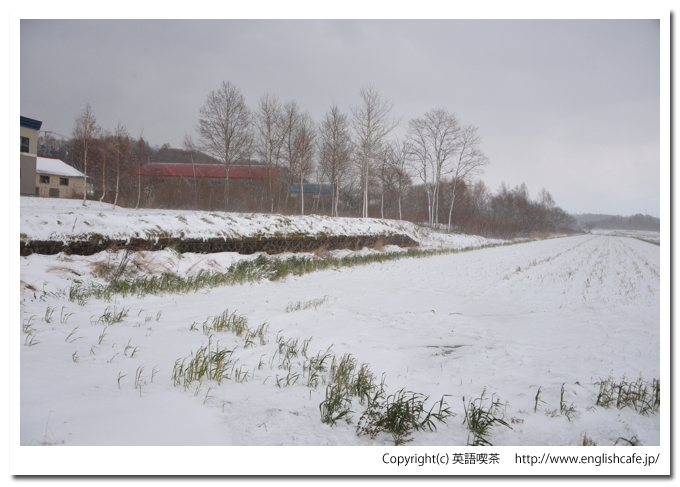 旧胆振線、寒別駅跡のホーム（旧胆振線）（北海道伊達市～虻田郡倶知安町）