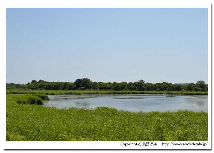兜沼、兜沼の端側ほうから（北海道天塩郡豊富町）