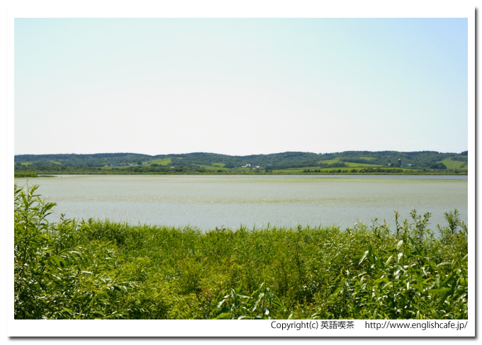 兜沼、少し移動したところから（北海道天塩郡豊富町）