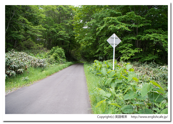 鳥崎渓谷の名所上大滝、入口付近から（北海道森町）