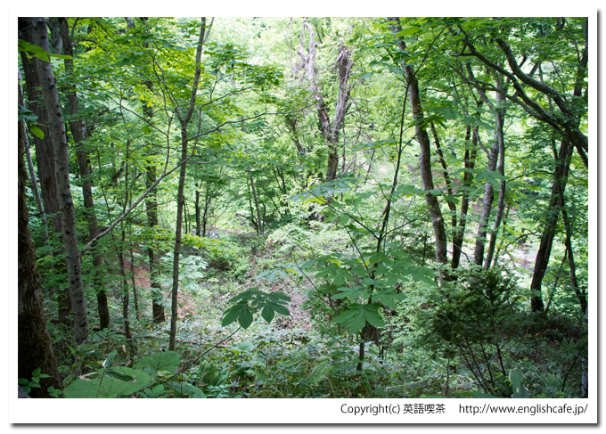 鳥崎渓谷の名所上大滝、滝への散策路の途中風景（北海道森町）